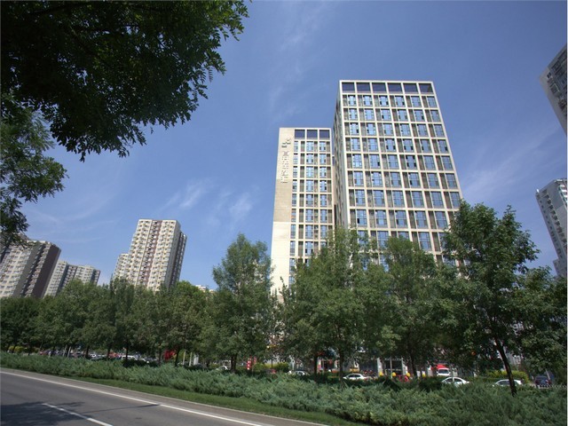 江苏箱包胶水价格