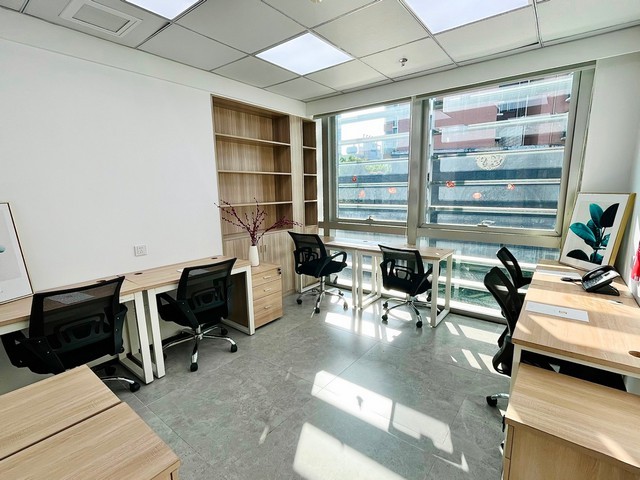 临沂防虫小麦种子招商